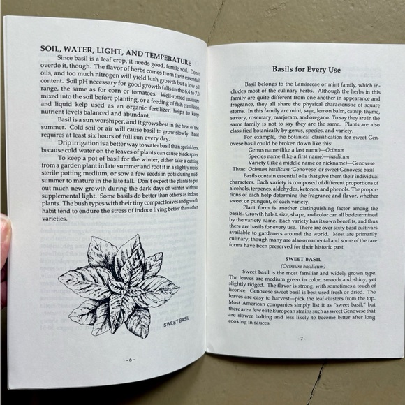 1990 Growing & Using Basil Herb Recipes Cookbooks Kitchen Garden Pesto Herbs - Picture 2 of 6